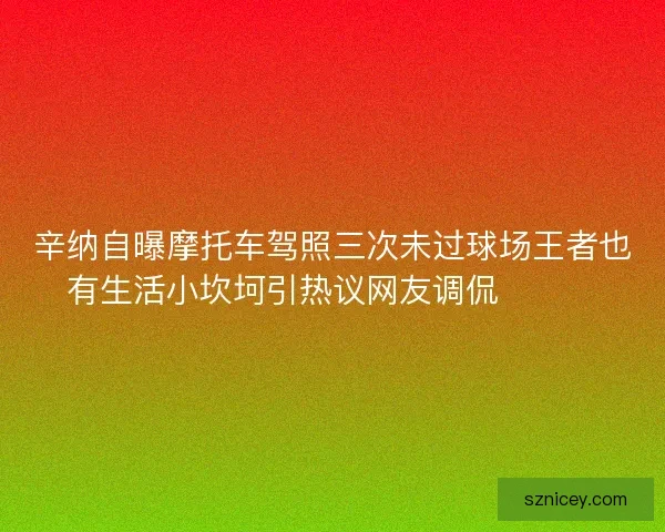 辛纳自曝摩托车驾照三次未过球场王者也有生活小坎坷引热议网友调侃😅🏍️