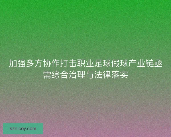 加强多方协作打击职业足球假球产业链亟需综合治理与法律落实