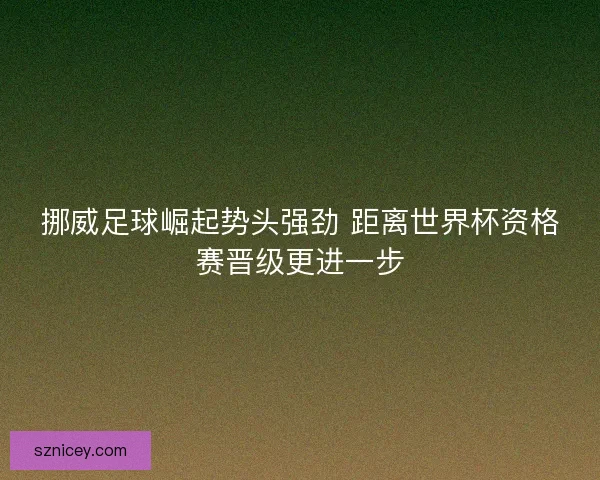 挪威足球崛起势头强劲 距离世界杯资格赛晋级更进一步