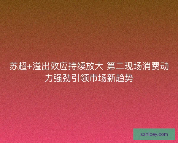 苏超+溢出效应持续放大 第二现场消费动力强劲引领市场新趋势 苏超+溢出效应持续放大 第二现场消费动力强劲引领市场新趋势